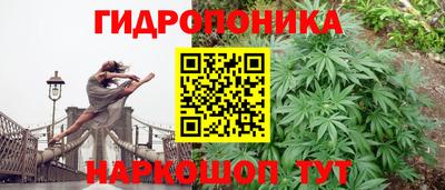 PSILOCYBIN Ипатово