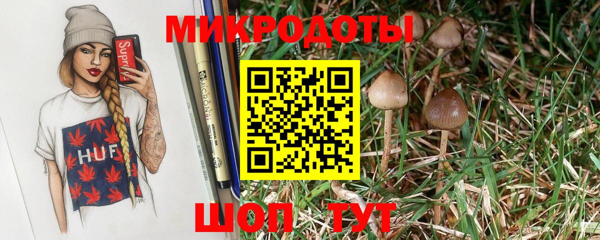 Псилоцибиновые грибы Cubensis Лениногорск